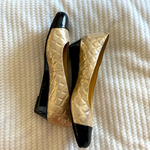 Langley Trotters - Picture 4 of 6